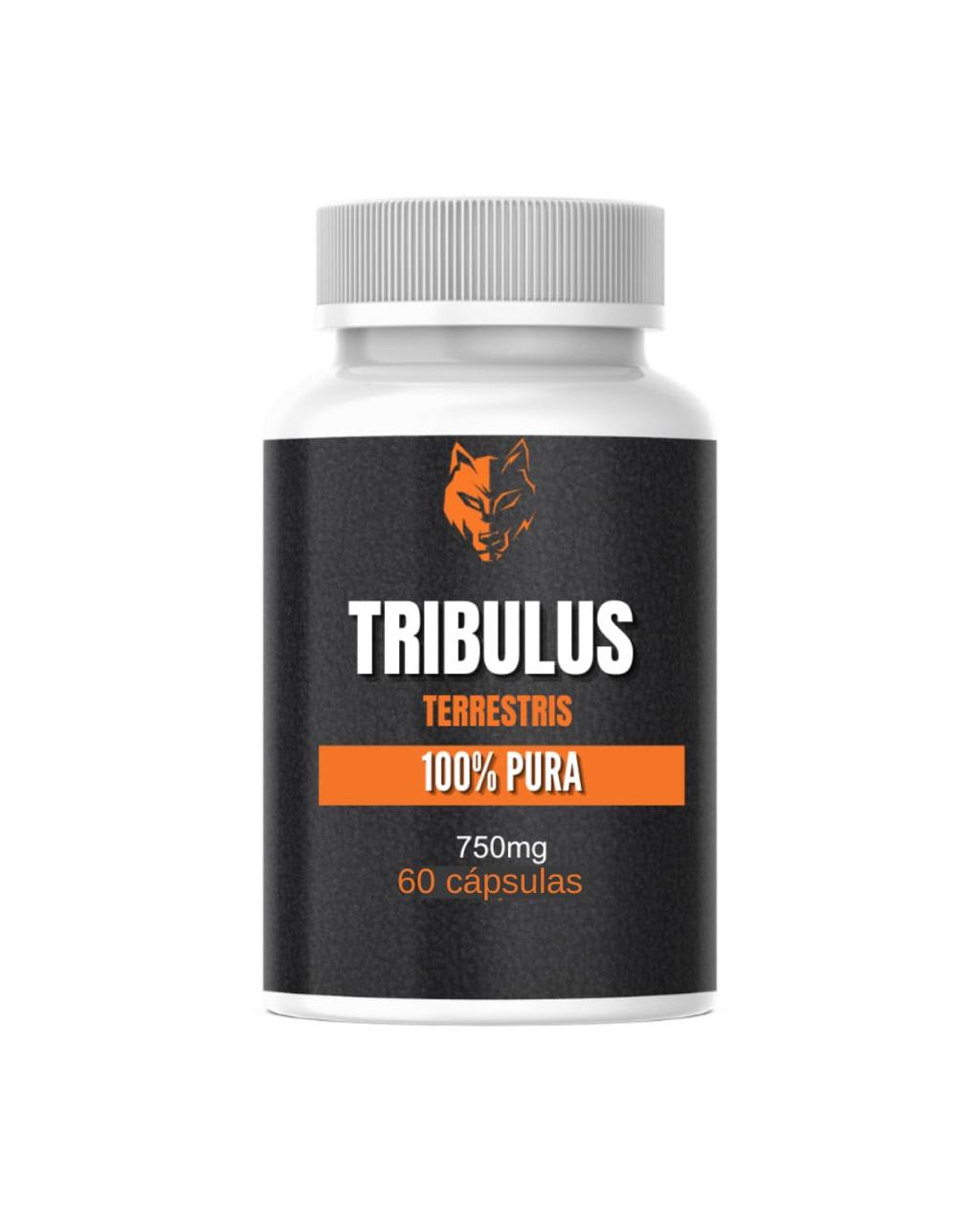 Tribulus Terrestris